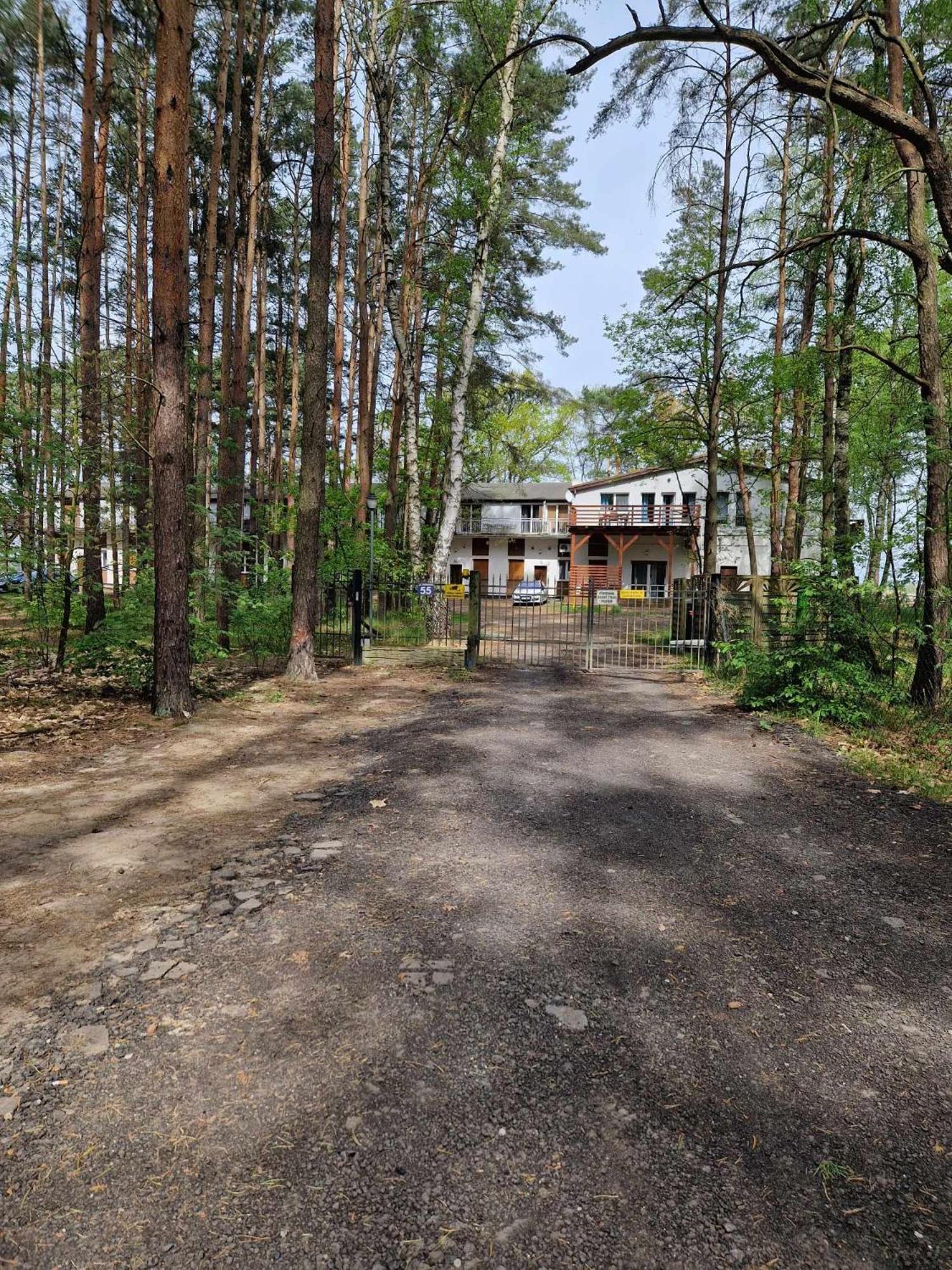 Lesny Zakatek Nr 2 Apartment Radzyń Екстериор снимка